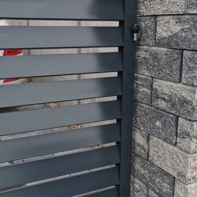 122202020_10157786055043576_1385200814826250108_o