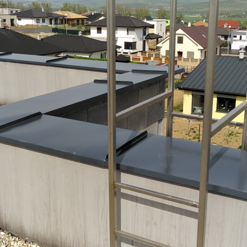 58113405_10156362660903576_1309729575172833280_o