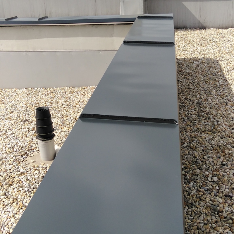 58684804_10156362660668576_1413007307960221696_o