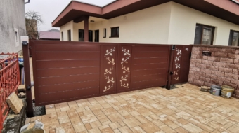 brana_hneda_s_ornamentmi1