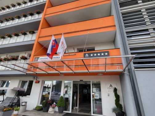 sd_antik_bj_prestresenie_vchodu1